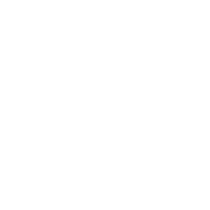 onyx armor logo [w]